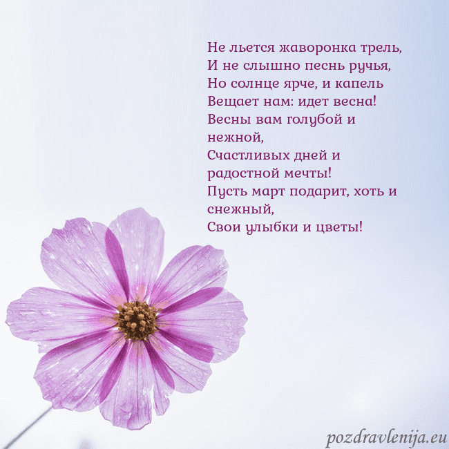 Электронная открытка с фиолетовым цветком Не льется жаворонка трель,
И не слышно песнь ручья Электронная открытка с фиолетовым цветком