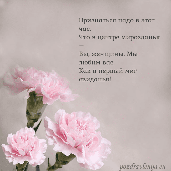 Открытка с розовыми гвоздиками Признаться надо в этот час,
Что в центре мироздань Открытка с розовыми гвоздиками