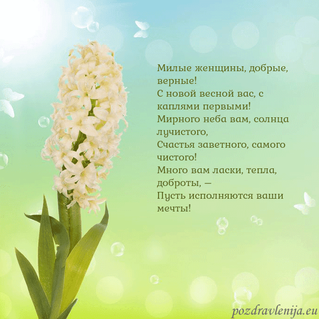 Открытка с гиацинтом