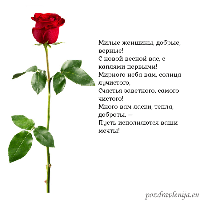 Открытка с красной розой Милые женщины, добрые, верные!
С новой весной вас, Открытка с красной розой