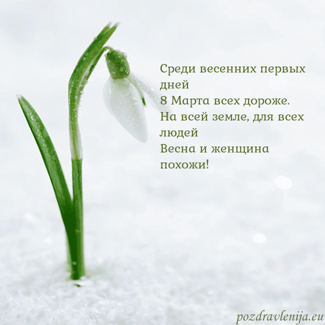 kovo 8-7 Среди весенних первых дней
8 Марта всех дороже.
На kovo 8-7