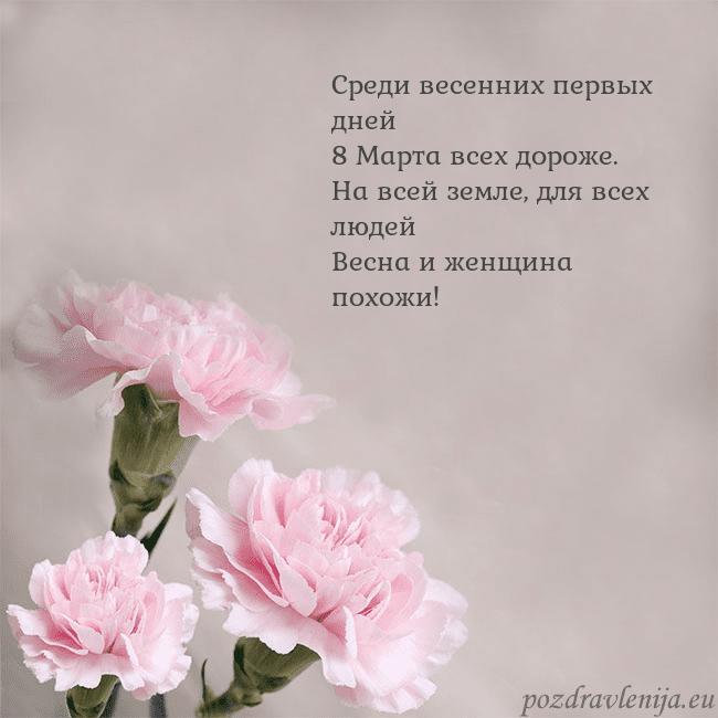 Открытка с розовыми гвоздиками Среди весенних первых дней
8 Марта всех дороже.
На Открытка с розовыми гвоздиками