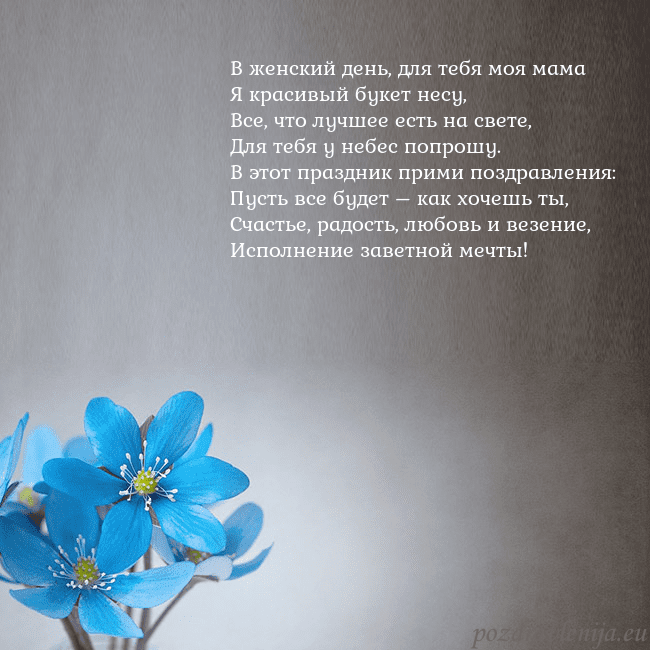 Открытка с фиалками В женский день, для тебя моя мама
Я красивый букет Открытка с фиалками