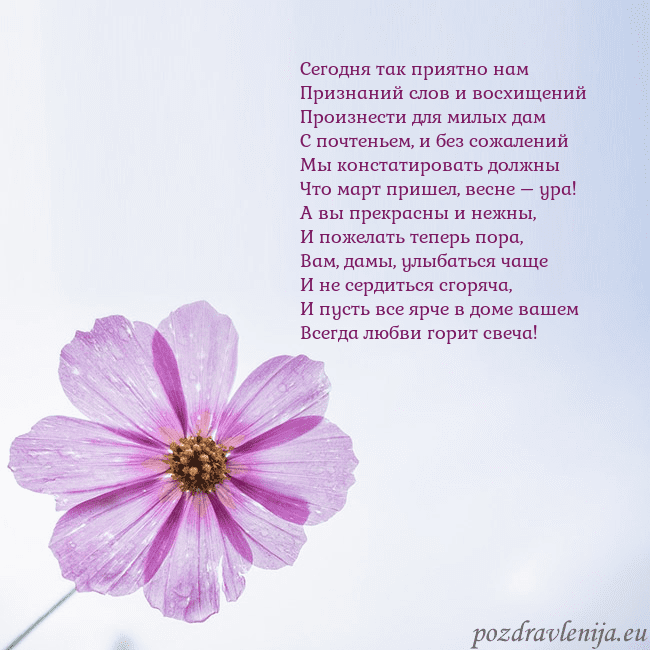 Электронная открытка с фиолетовым цветком Сегодня так приятно нам
Признаний слов и восхищени Электронная открытка с фиолетовым цветком