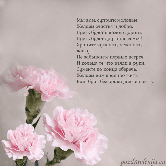 Открытка с розовыми гвоздиками Мы вам, супруги молодые,
Желаем счастья и добра,
П Открытка с розовыми гвоздиками