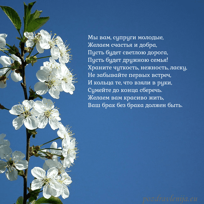 Открытка с весенними цветами Мы вам, супруги молодые,
Желаем счастья и добра,
П Открытка с весенними цветами