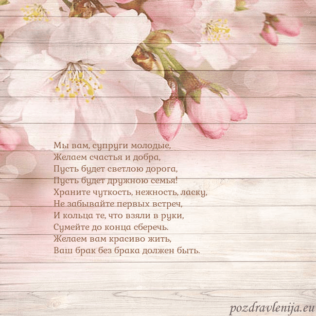 Открытка с цветами яблони Мы вам, супруги молодые,
Желаем счастья и добра,
П Открытка с цветами яблони