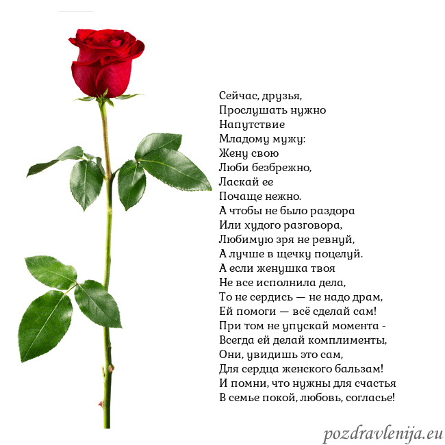 Открытка с красной розой Сейчас, друзья,
Прослушать нужно
Напутствие
Младом Открытка с красной розой