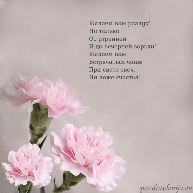 Открытка с розовыми гвоздиками Желаем вам разлук!
Но только
От утренней
И до вече Открытка с розовыми гвоздиками
