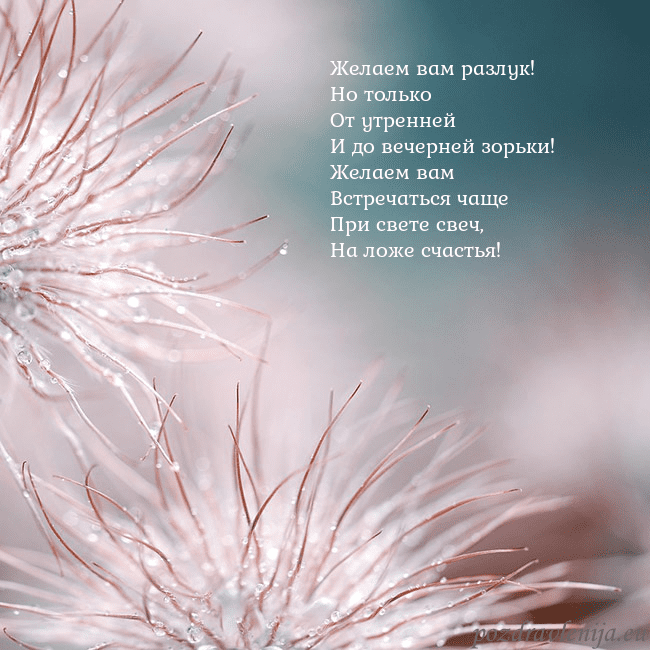 Открытка с пушистыми растениями Желаем вам разлук!
Но только
От утренней
И до вече Открытка с пушистыми растениями