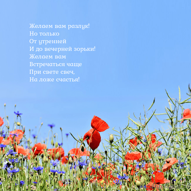 Открытка с маками Желаем вам разлук!
Но только
От утренней
И до вече Открытка с маками