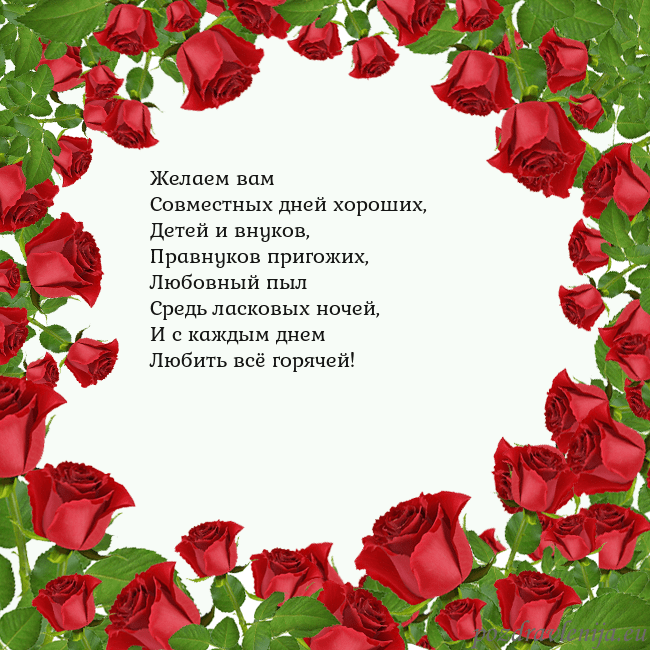 Открытка с красными розами Желаем вам
Совместных дней хороших,
Детей и внуков Открытка с красными розами