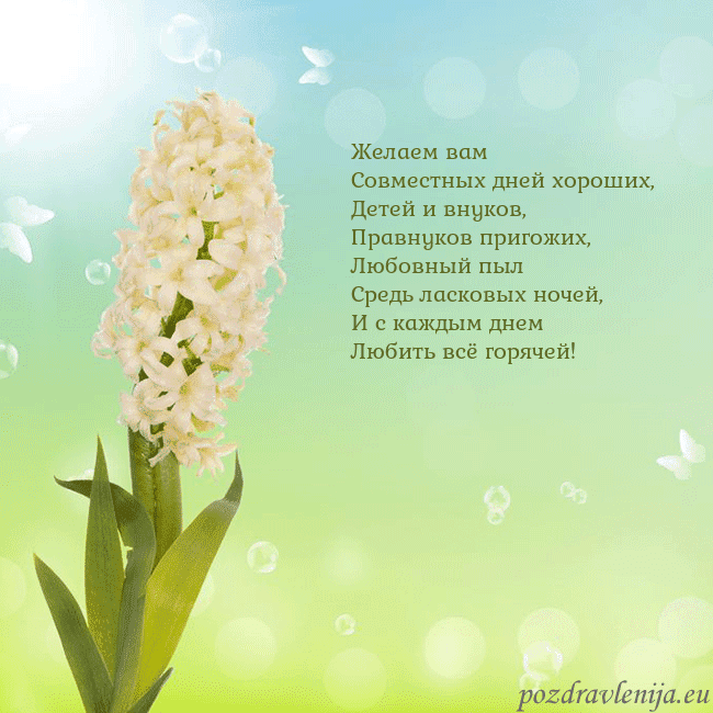 Открытка с гиацинтом Желаем вам
Совместных дней хороших,
Детей и внуков Открытка с гиацинтом