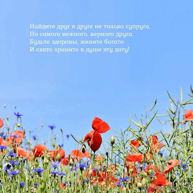 Открытка с маками Найдите друг в друге не только супруга,
Но самого Открытка с маками