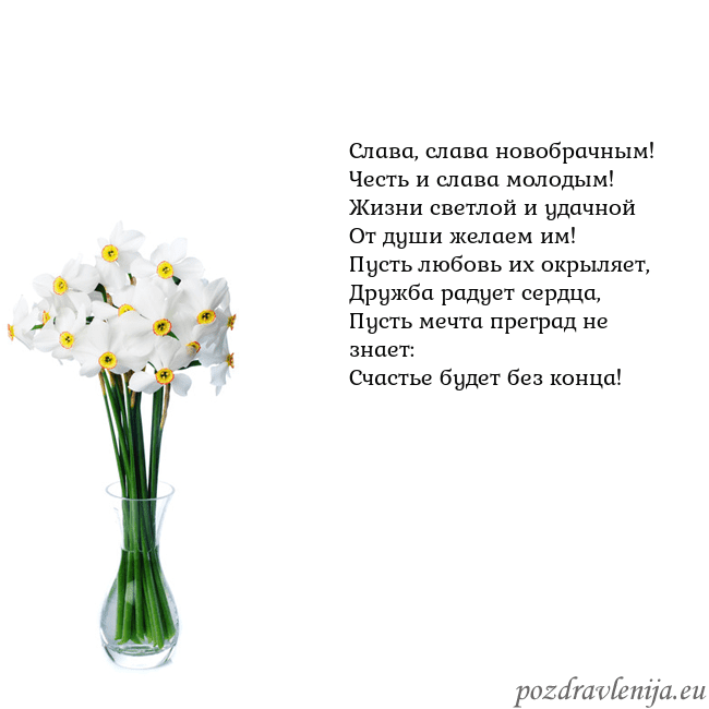 Открытка с нарциссами Слава, слава новобрачным!
Честь и слава молодым!
Ж Открытка с нарциссами