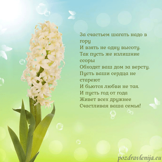 Открытка с гиацинтом За счастьем шагать надо в гору
И взять не одну выс Открытка с гиацинтом