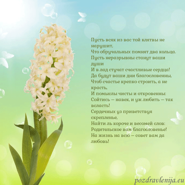 Открытка с гиацинтом Пусть всяк из вас той клятвы не нарушит,
Что обруч Открытка с гиацинтом