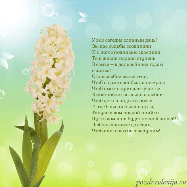 Открытка с гиацинтом У вас сегодня славный день!
Вы две судьбы соединил Открытка с гиацинтом