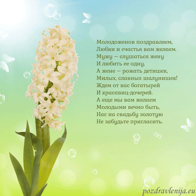 Открытка с гиацинтом Молодоженов поздравляем,
Любви и счастья вам желае Открытка с гиацинтом