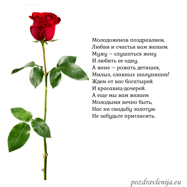 Открытка с красной розой Молодоженов поздравляем,
Любви и счастья вам желае Открытка с красной розой