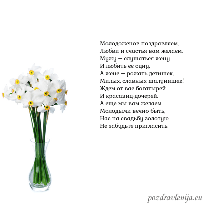 Открытка с нарциссами Молодоженов поздравляем,
Любви и счастья вам желае Открытка с нарциссами