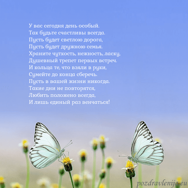 Свадебная открытка с двумя бабочками У вас сегодня день особый.
Так будьте счастливы вс Свадебная открытка с двумя бабочками