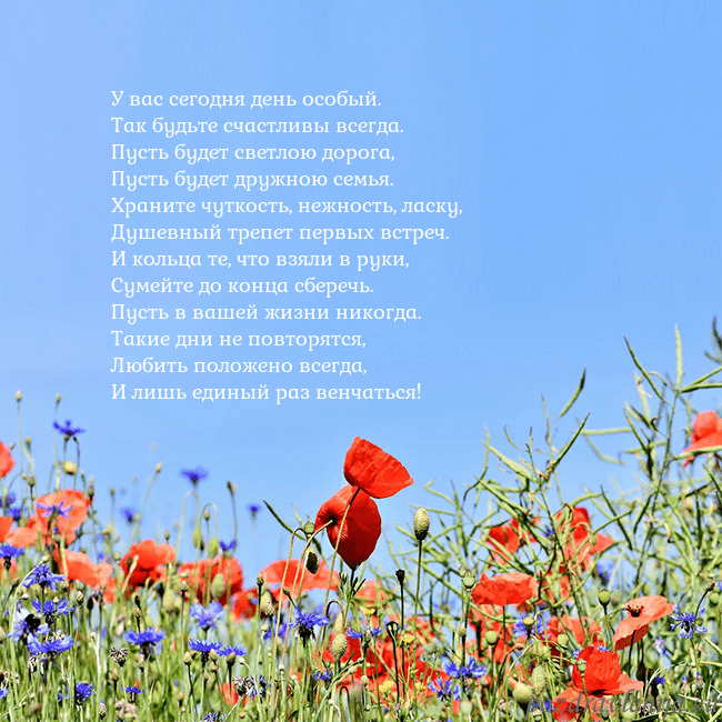 Открытка с маками У вас сегодня день особый.
Так будьте счастливы вс Открытка с маками