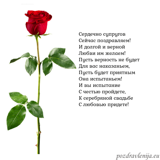 Открытка с красной розой Сердечно супругов
Сейчас поздравляем!
И долгой и в Открытка с красной розой