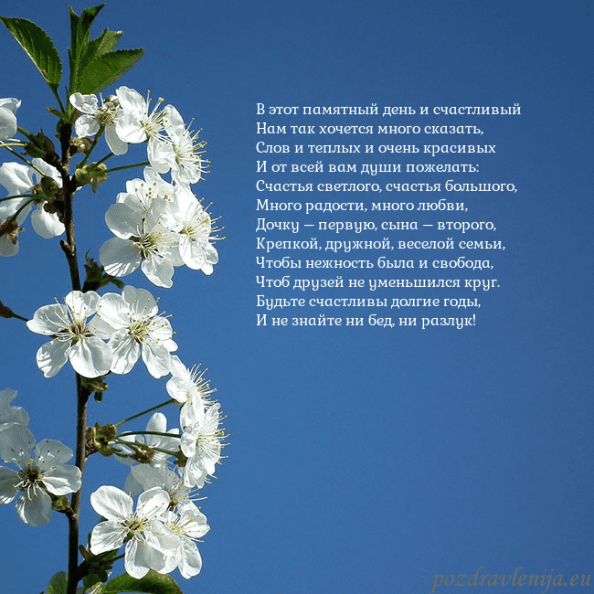 Открытка с весенними цветами В этот памятный день и счастливый
Нам так хочется Открытка с весенними цветами