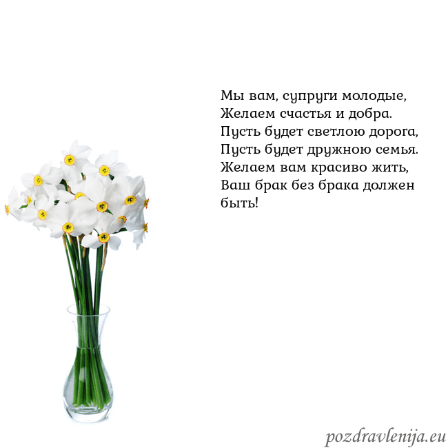 Открытка с нарциссами Мы вам, супруги молодые,
Желаем счастья и добра.
П Открытка с нарциссами