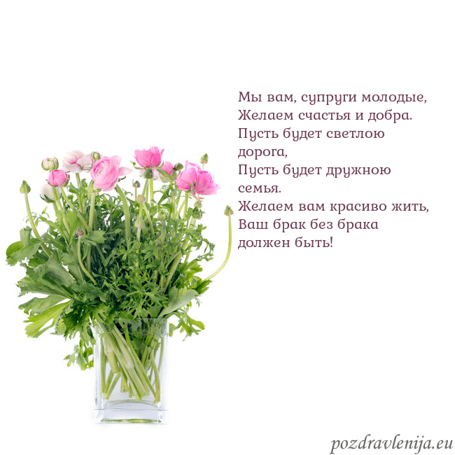 Открытка с цветами в вазе Мы вам, супруги молодые,
Желаем счастья и добра.
П Открытка с цветами в вазе