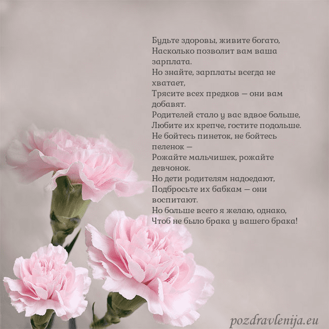 Открытка с розовыми гвоздиками Будьте здоровы, живите богато,
Насколько позволит Открытка с розовыми гвоздиками