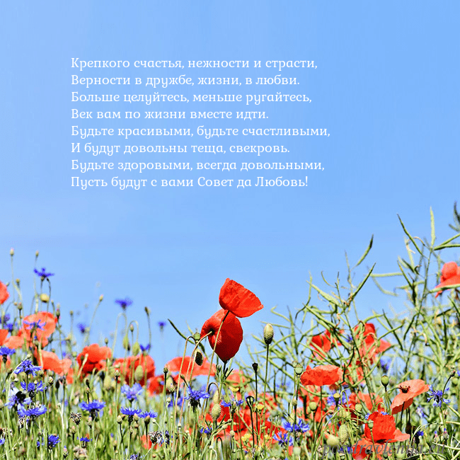 Открытка с маками Крепкого счастья, нежности и страсти,
Верности в д Открытка с маками