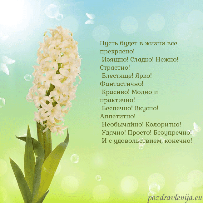 Открытка с гиацинтом