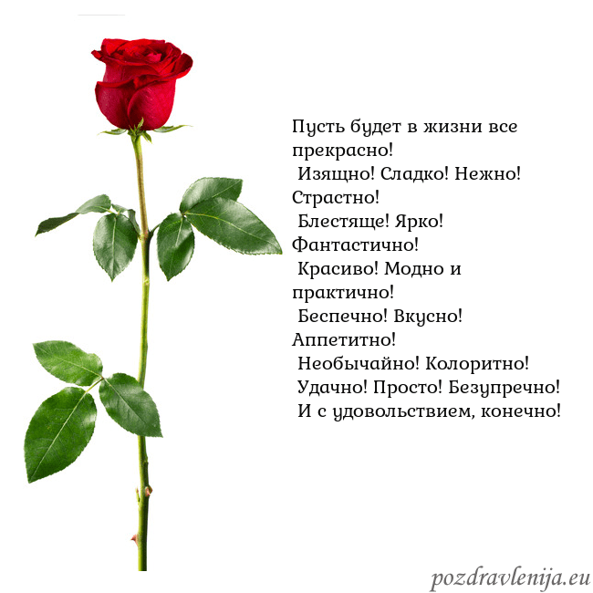 Открытка с красной розой