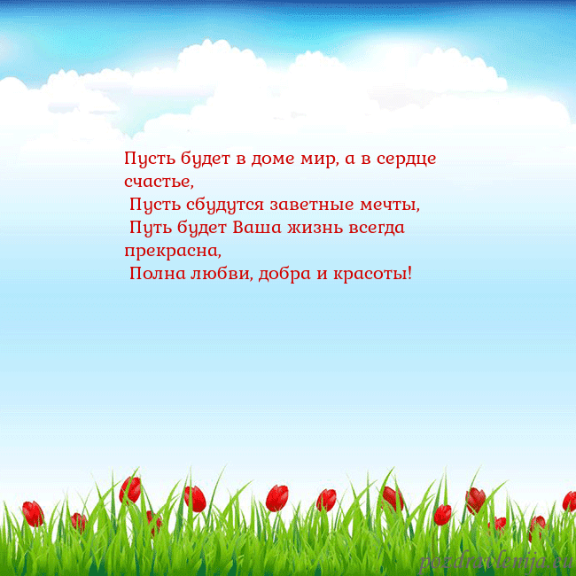 Открытка с тюльпанами