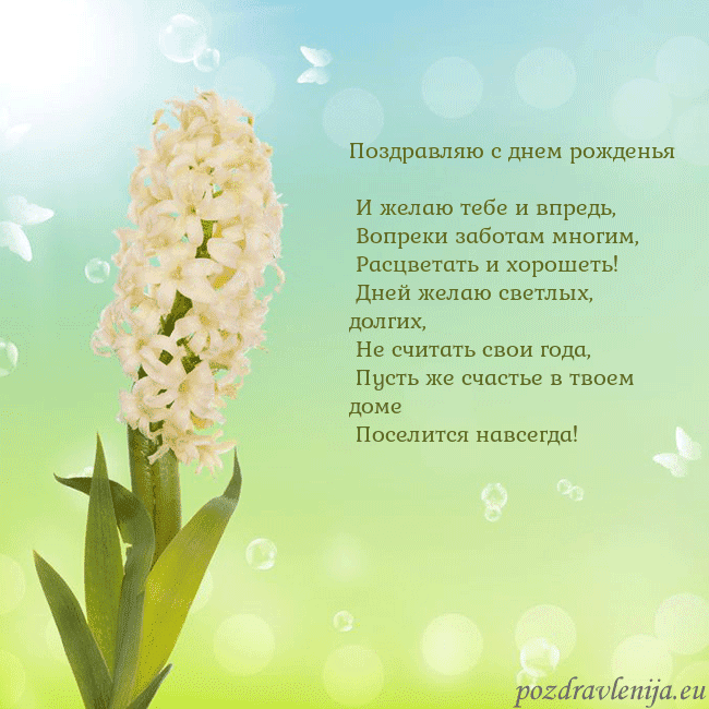 Открытка с гиацинтом