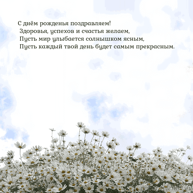 Открытка с ромашками