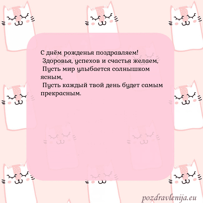Розовая открытка с забавными кошками