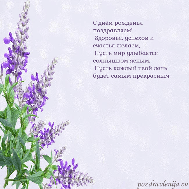 Открытка с люпинами