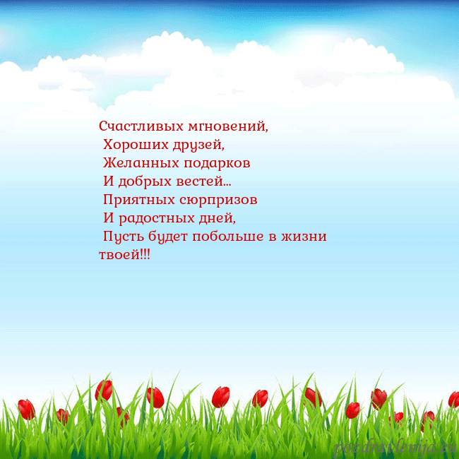 Открытка с тюльпанами