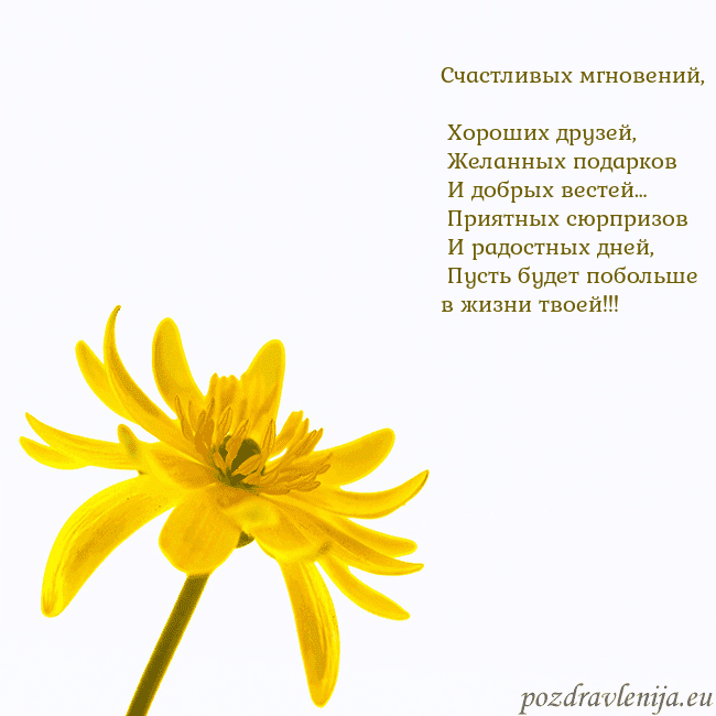 Открытка с желтым цветком