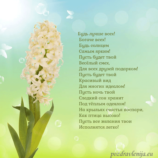 Открытка с гиацинтом