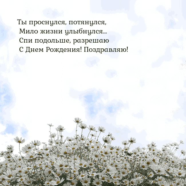 Открытка с ромашками