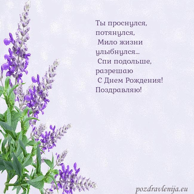 Открытка с люпинами