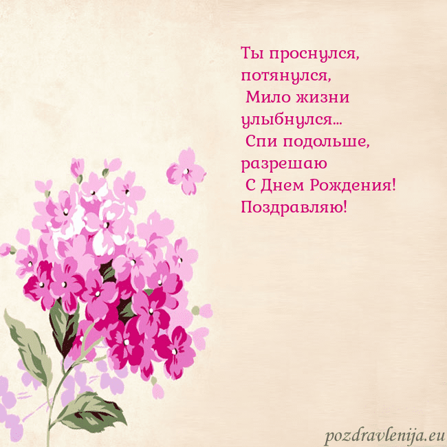 Открытка с гортензией