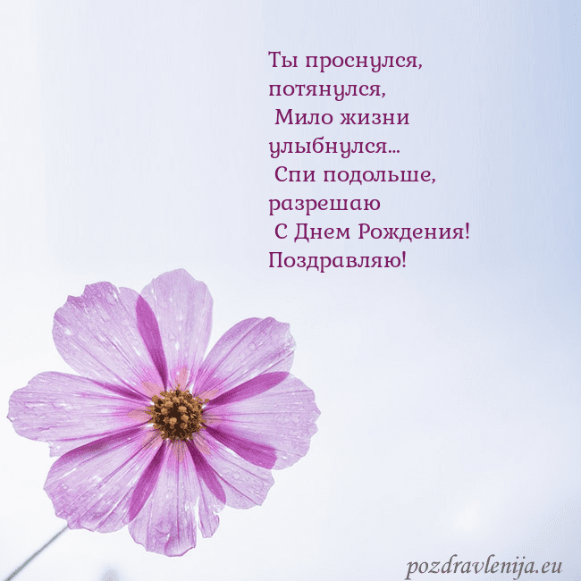 Электронная открытка с фиолетовым цветком