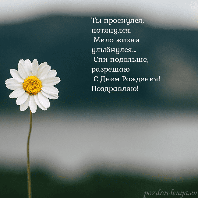 Электронная открытка с ромашкой