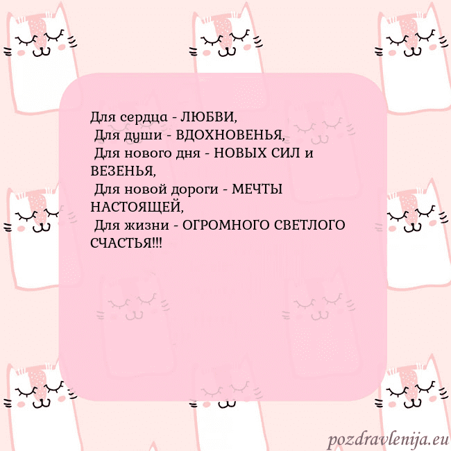 Розовая открытка с забавными кошками
