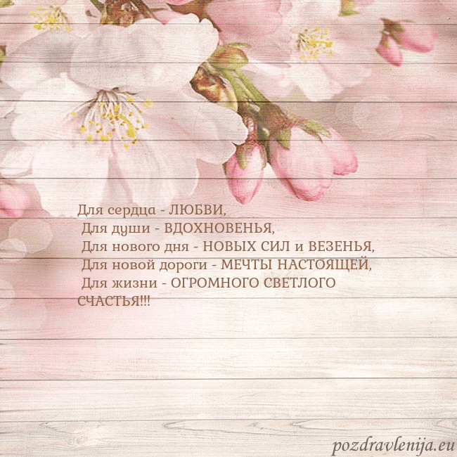 Открытка с цветами яблони